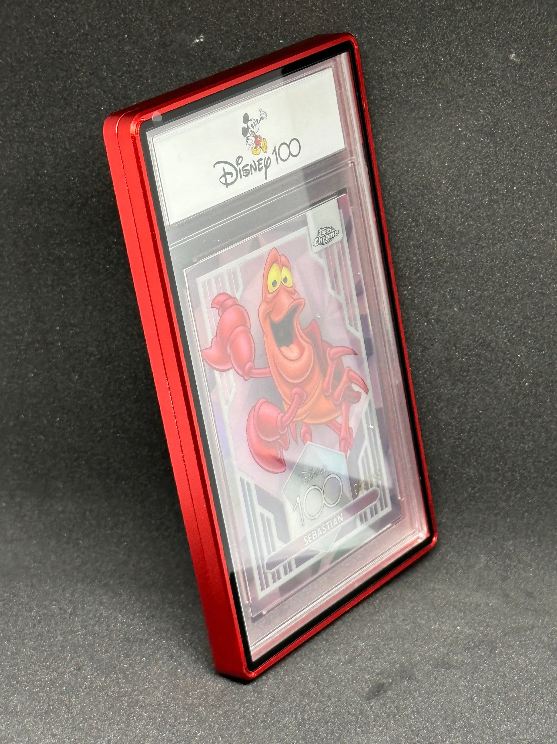 Slab Metal Aluminum And Glass Protective Case (1 Holder) For 35Pt 55Pt & 75Pt Slabs Red Collectible